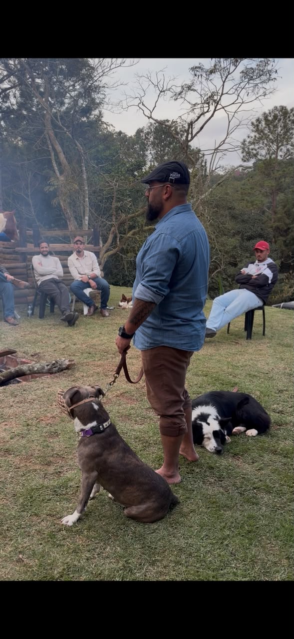 David conduz uma demonstração de manejo com dois cães enquanto participantes acompanham sentados